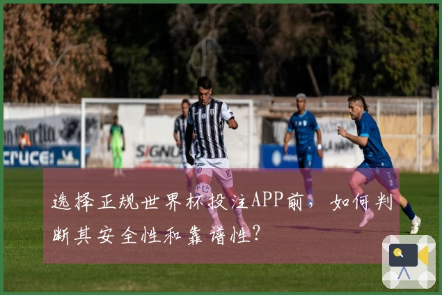 选择正规世界杯投注APP前，如何判断其安全性和靠谱性？