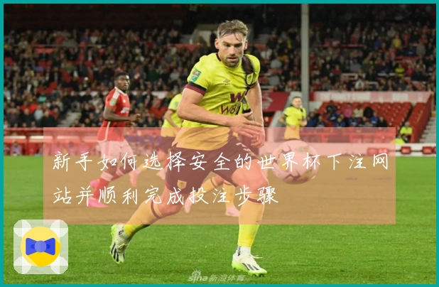 新手如何选择安全的世界杯下注网站并顺利完成投注步骤