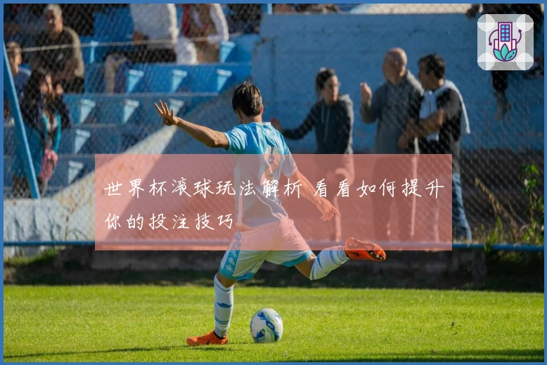 世界杯滚球玩法解析 看看如何提升你的投注技巧